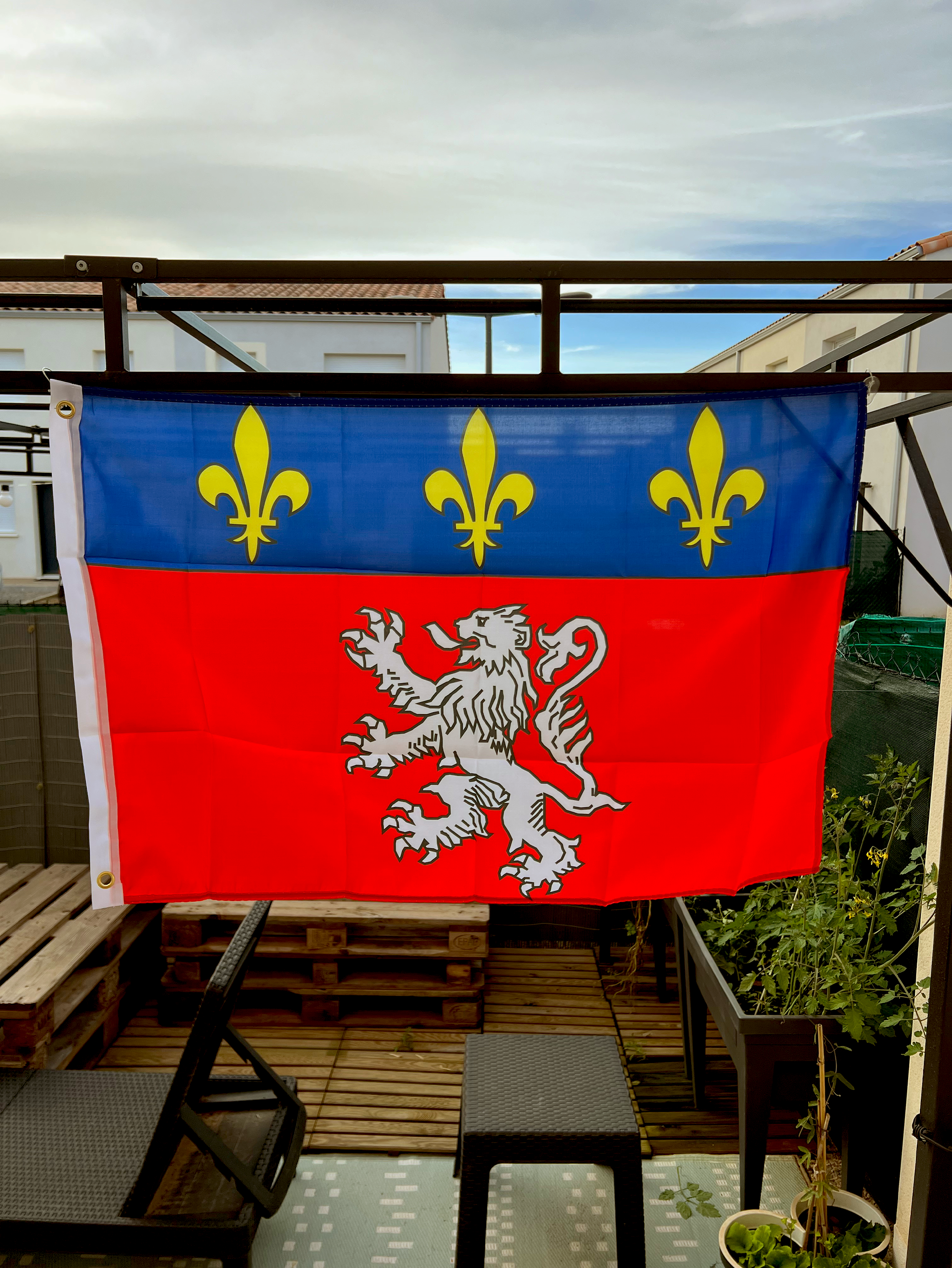 Drapeau du Lyonnais