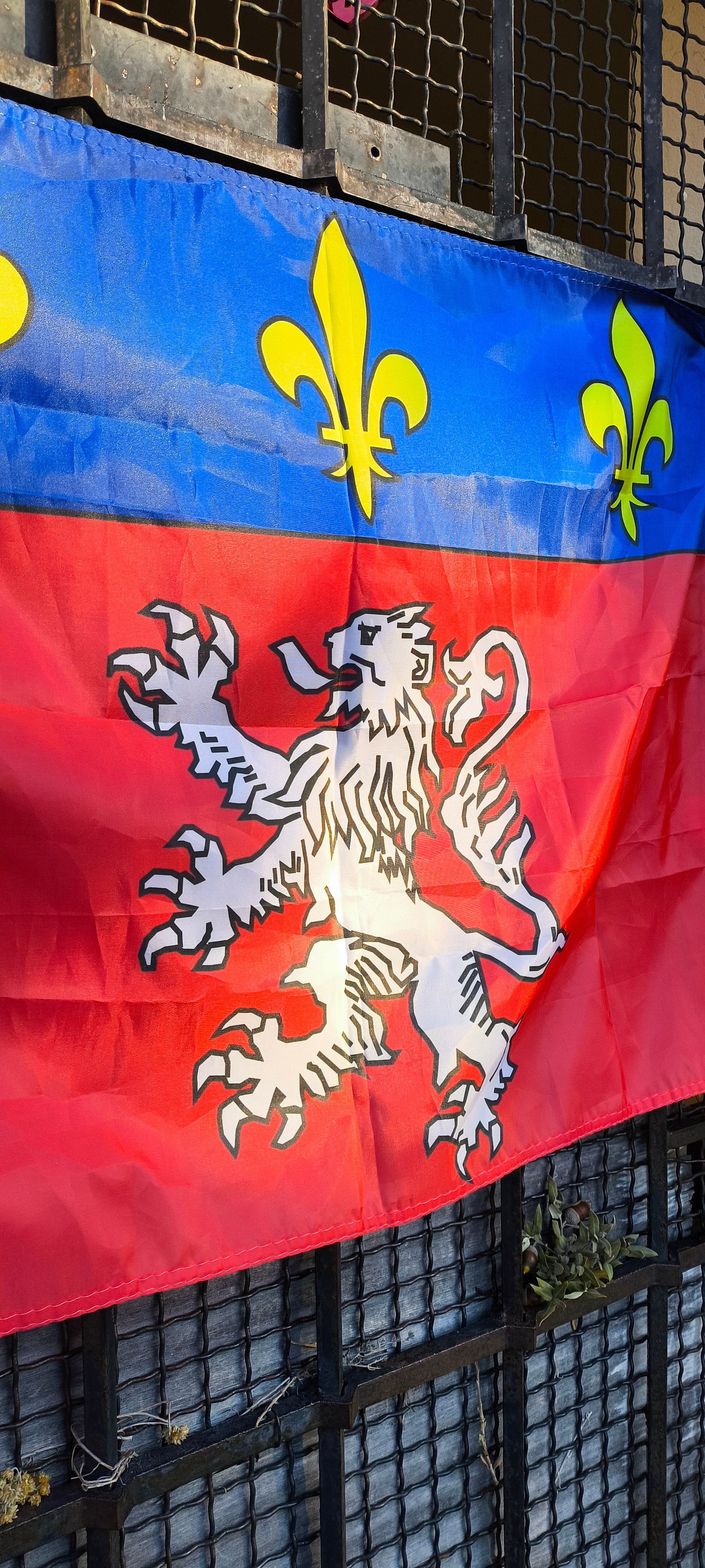 Drapeau du Lyonnais