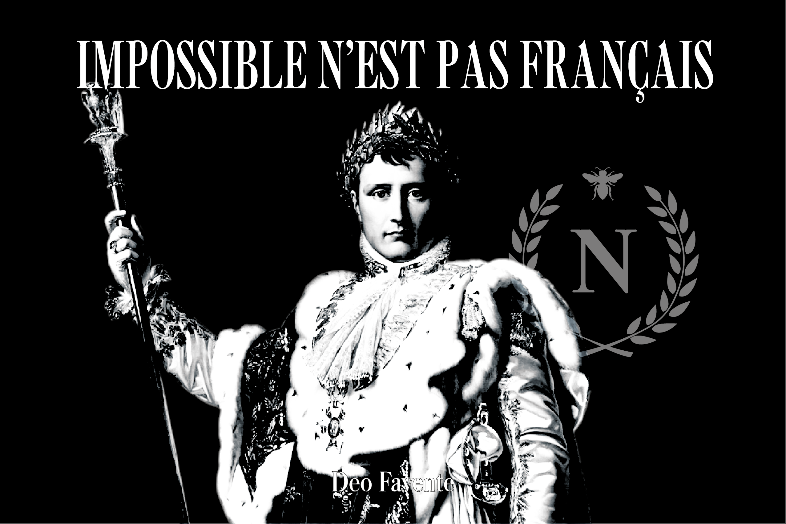 Drapeau Napoleon Bonaparte