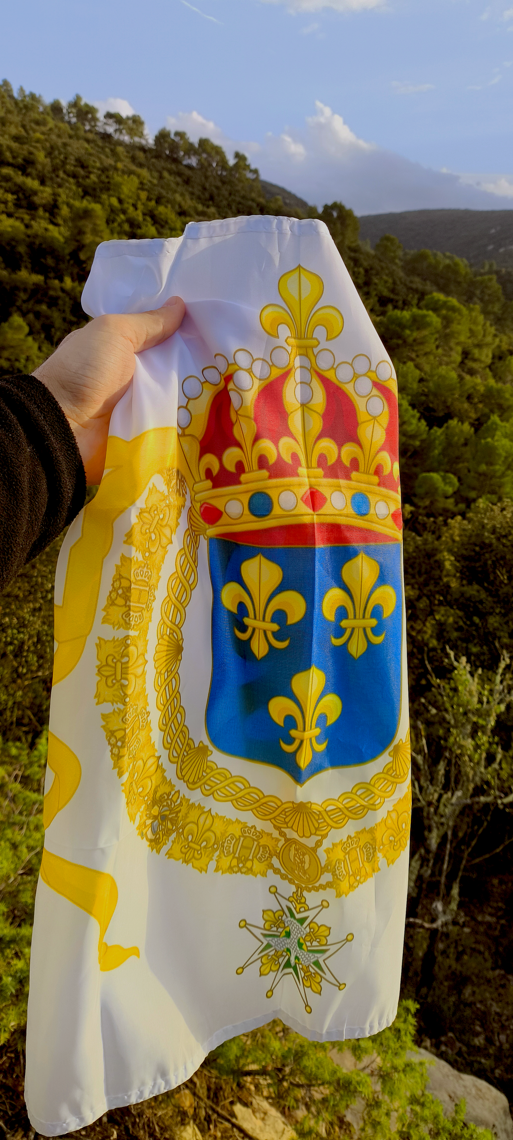 Drapeau Royal de France