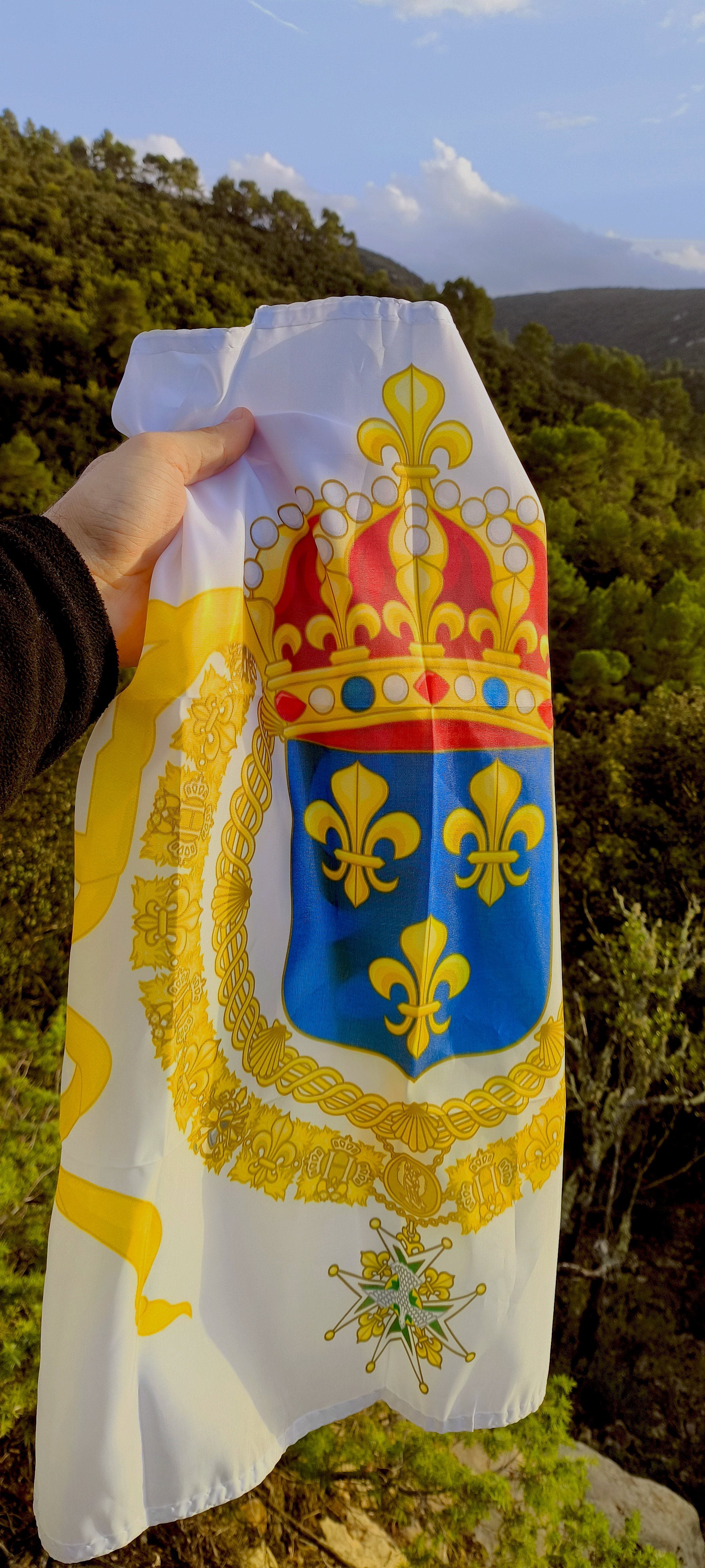 Drapeau Royal de France