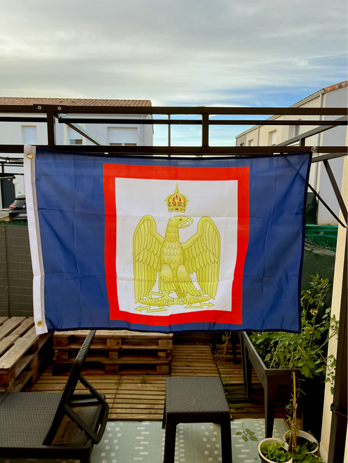 Drapeau Aigle Napoleonien